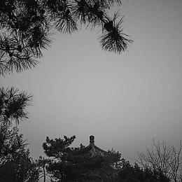 《异形：火力小队》12月14日登陆Xbox Game Pass